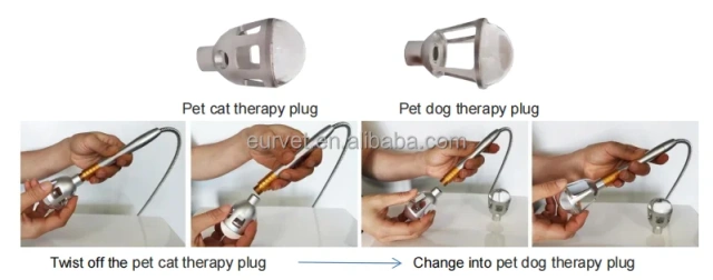 EUR VET Best Veterinary Equipment Laser Therapy Products Laser Therapy Device for Pets Price