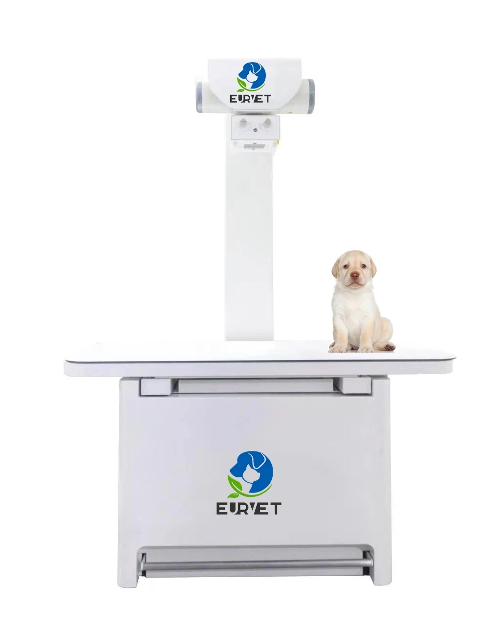EUR PET Superior Quality Veterinary X-Ray Machine Digital X-Ray Film Veterinary Instrument for Hospital