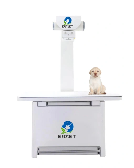 EUR PET Superior Quality Veterinary X-Ray Machine Digital X-Ray Film Veterinary Instrument for Hospital