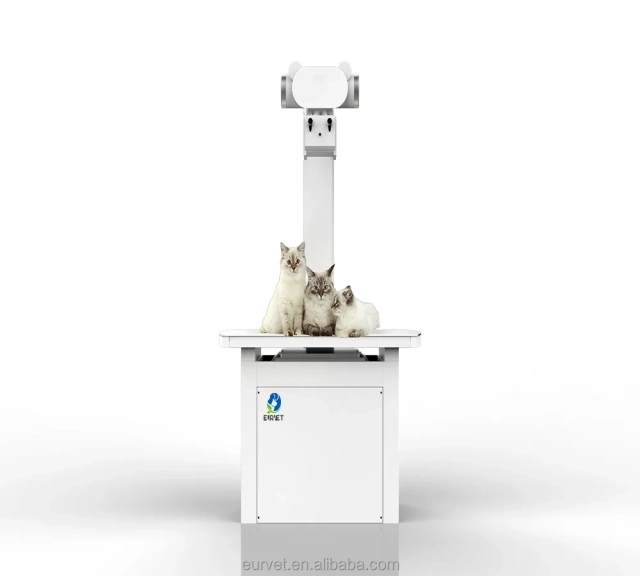 EUR PET Best Price Digital X-Ray Flat Panel Detector Veterinary Equipment Practical 32KW Veterinary X-Ray Machine