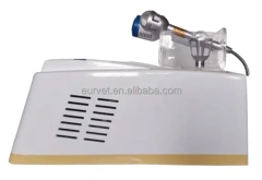 EUR VET Best Veterinary Equipment Laser Therapy Products Laser Therapy Device for Pets Price