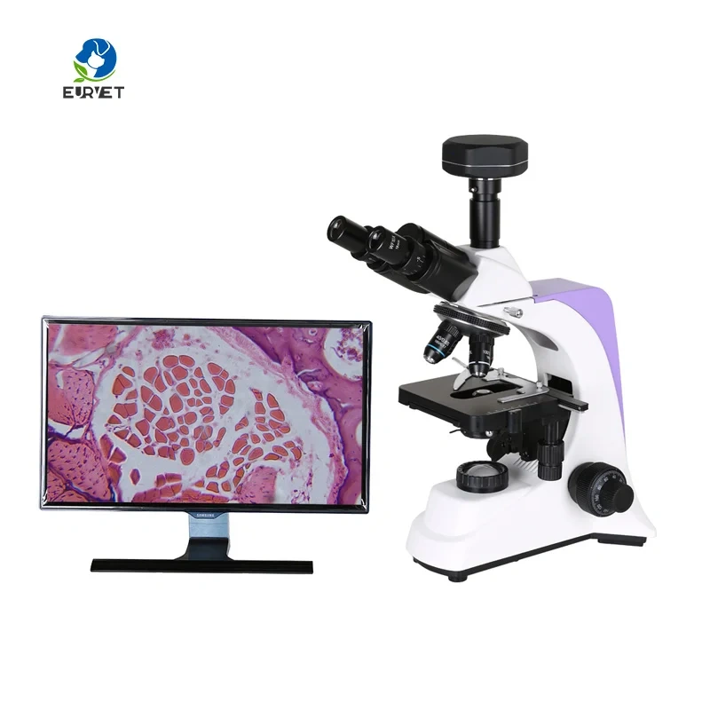Eur Pet Reliable Top Quality Veterinary Biological Microscope Veterinary Instrument