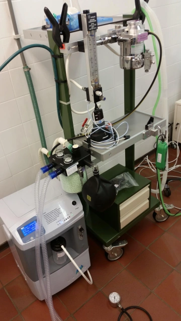 EUR VET ベストセラー医療用酸素濃縮器 獣医用機器 麻酔用獣医用酸素濃縮器