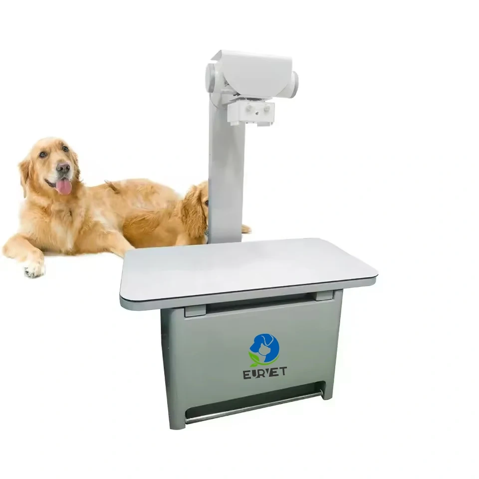 EUR PET Superior Quality Veterinary X-Ray Machine Digital X-Ray Film Veterinary Instrument for Hospital