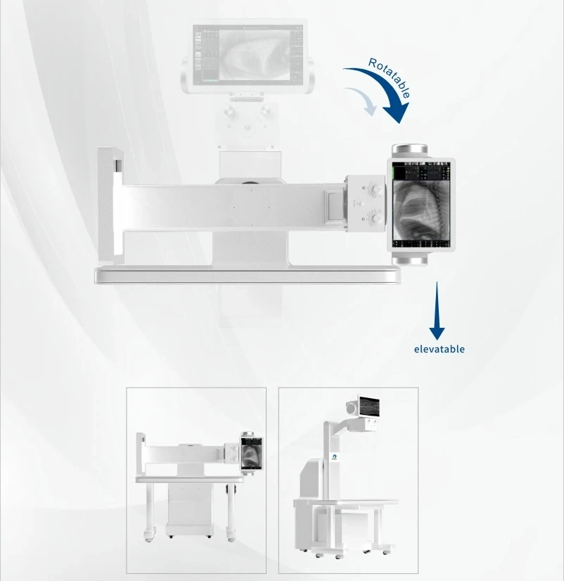 EUR VET 32KW Digital X-Ray Machine Veterinary Radiological Equipment for Animal Clinic Use Diagnostic Equipment