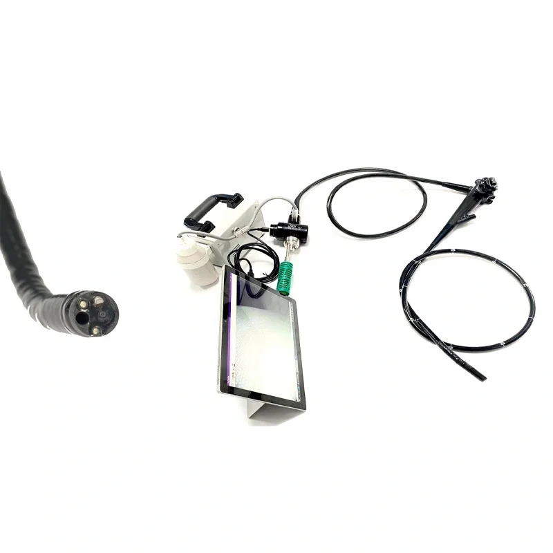 EUR PET Hot Selling Portable Gastroscope and Colonoscope Flexible Endoscope Veterinary Equipment for Dog Cat