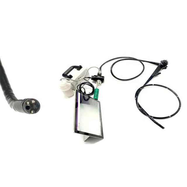 EUR VET Wholesale Customization Shrek Usb Flexible Endoscopic Camera Veterinary Equipment Medical Flexible Endoscope Portable