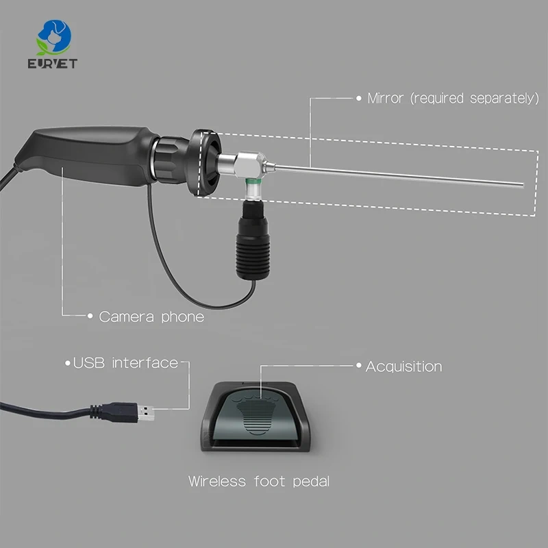 EUR PET High Quality Veterinary Laparoscopy Portable Endoscope Camera Veterinary Equipment for Pet Clinic
