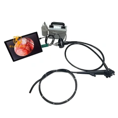 EURVET Top Quality Veterinary Instrument Digital VET USB Colonoscop Flexible Video Colonoscope
