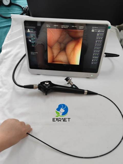 EUR VET Portable Veterinary Endoscope System Excellent Quality HD Video Processor Veterinary Equipment for Dog Care