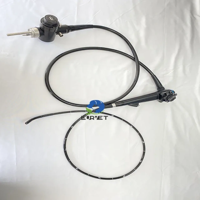 EUR PET Hot Selling Portable Gastroscope and Colonoscope Flexible Endoscope Veterinary Equipment for Dog Cat