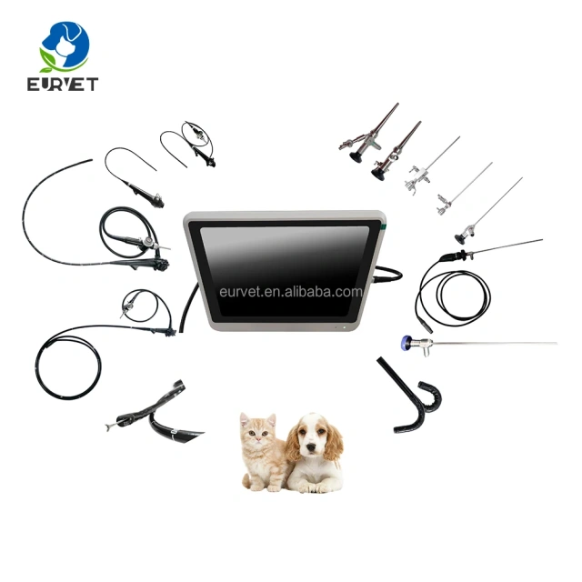 High Quality EUR VET Portable Flexible Endoscope with HD Video Processor Veterinary Equipment for Dogs