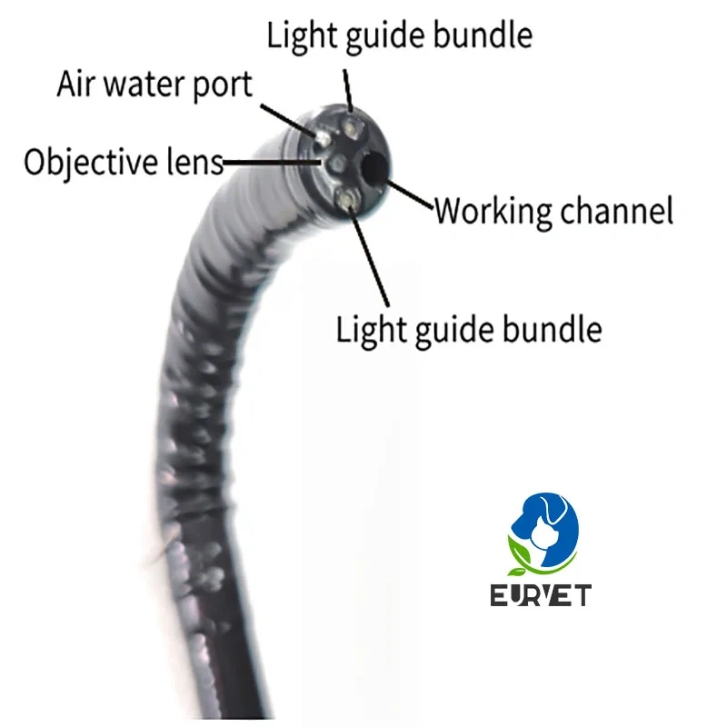 EUR VET Professional Vet Video Gastroscope for Animal Clinics Veterinary Equipment Veterinary Medical Colonoscope on Sale