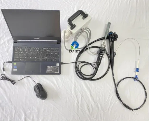 EUR PET Hot Selling Portable Gastroscope and Colonoscope Flexible Endoscope Veterinary Equipment for Dog Cat