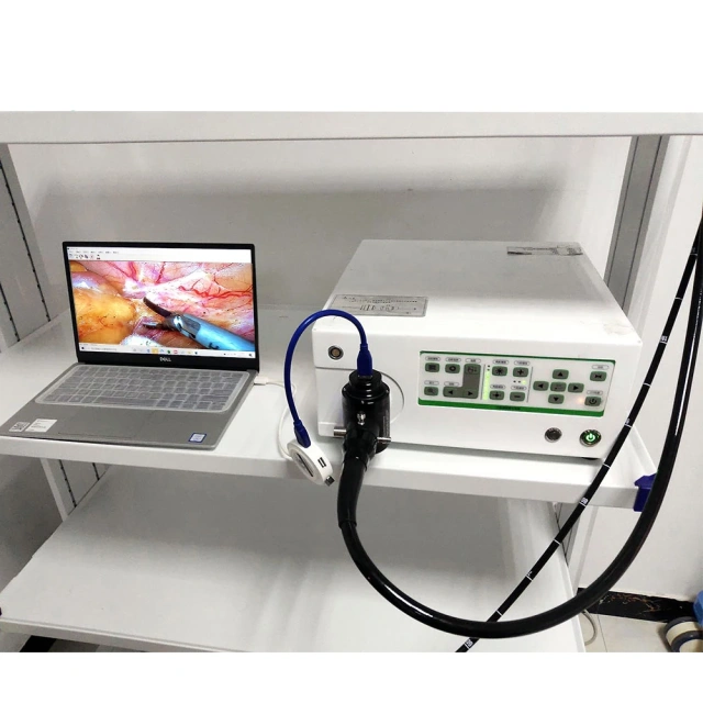 EUR PET Best Price Flexible Endoscope Portable Endoscope Ent Unit Practical Veterinary Veterinary Equipment