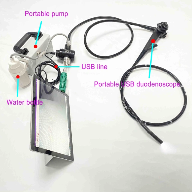 EUR PET Veterinary Endoscopy Equipment USB Flexible Gastro-colonoscope High Resolution Video Portable Gastroscope
