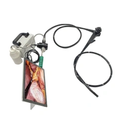 EURVET Top Quality Veterinary Instrument Digital VET USB Colonoscop Flexible Video Colonoscope