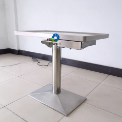 EUR PET Column 304 Stainless Steel Veterinary Clinic Table Pet Examination and Weighing Table