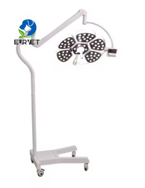 EUR PET Excellentc Double Heads Led Operation Lighting Veterinary Instrument High Illumination Shadowless Led Surgical Light