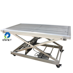 EURPET Veterinary Surgery Table Pet Beauty Hydraulic Table for Clinic Vet Treatment Dog Table for Surgical