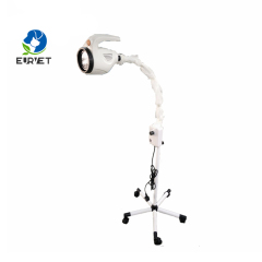EUR PET Best Quality Portable Vet LED Examination Lamp Veterinary Medical Device
