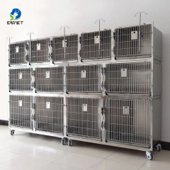 EUR Pet Best Selling Veterinary Cat Anti-Scratch Cage Veterinary Clinic Cage Practical Veterinary Equipment