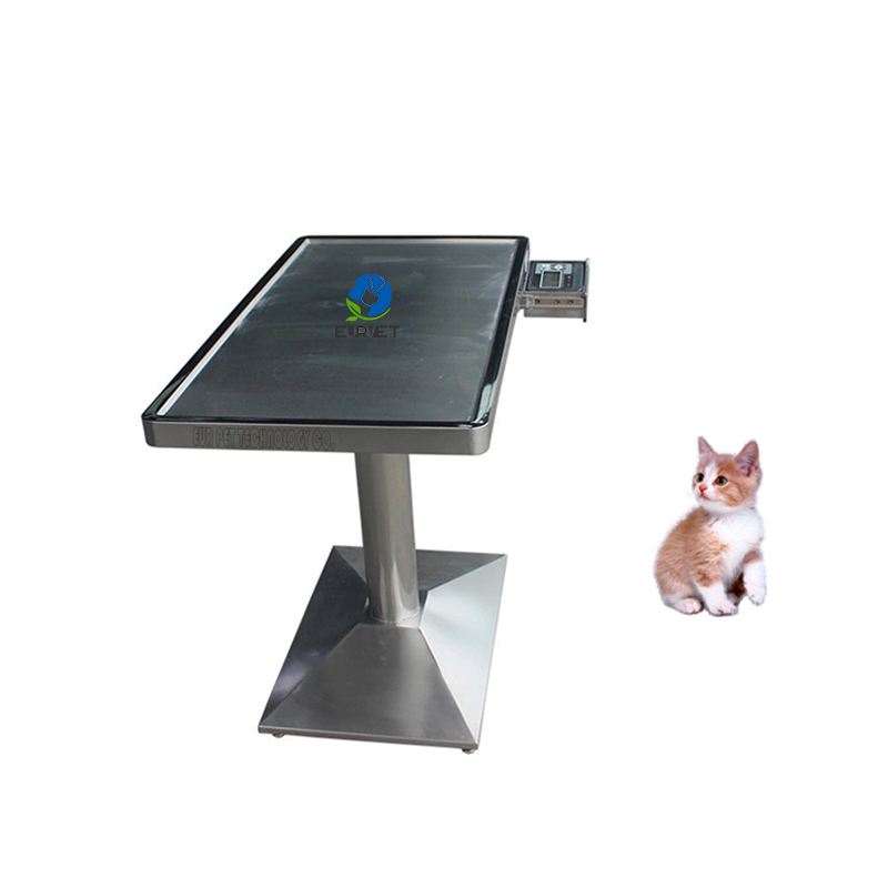 EUR PET Column 304 Stainless Steel Veterinary Clinic Table Pet Examination and Weighing Table