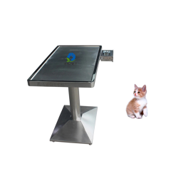 EUR PET Column 304 Stainless Steel Veterinary Clinic Table Pet Examination and Weighing Table