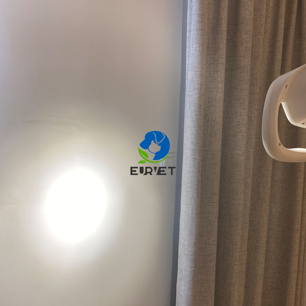 EUR PET High Quality Animal Led Light Veterinary Equipment Favorable Clinic Ceiling Led Exam Light