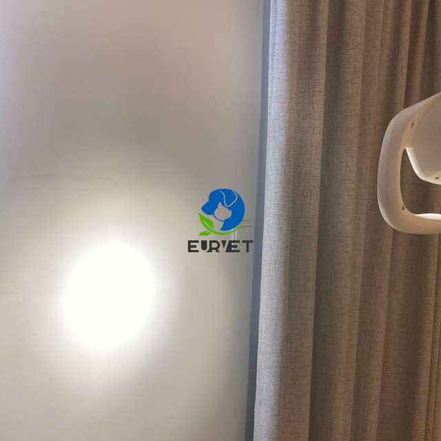 EUR PET High Quality Animal Led Light Veterinary Equipment Favorable Clinic Ceiling Led Exam Light