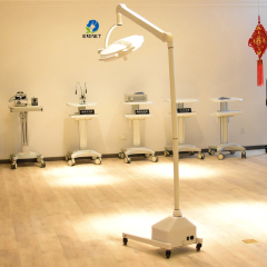 EUR PET Hospital Led Operation Light Surgical Medical Device Lamp Clinic Medical Equipment Hospital Light