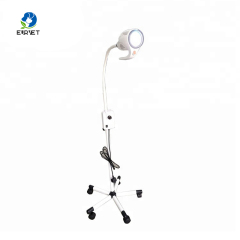 EUR PET Best Quality Portable Vet LED Examination Lamp Veterinary Medical Device