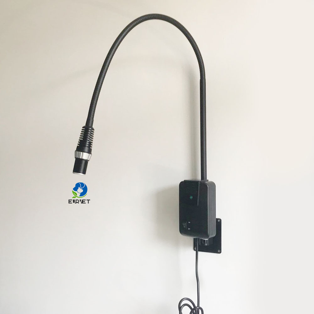 EUR PET Good Quality Multiple Functional Long Life Span 5w Medical Examination Light With High Brightness
