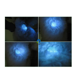 EURPET Cheap  Minor Veterinary Dental Used Portable Professional Flashlights Mini Woodlamp for Sale