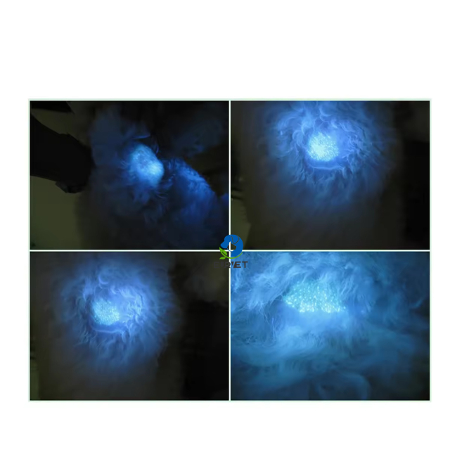 EURPET Cheap  Minor Veterinary Dental Used Portable Professional Flashlights Mini Woodlamp for Sale