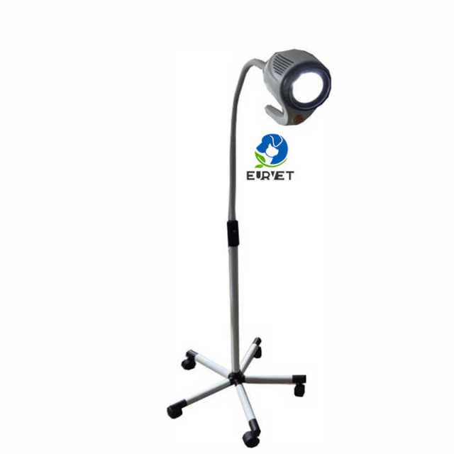 EUR PET Best Quality Portable Vet LED Examination Lamp Veterinary Medical Device