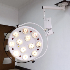 EUR VET Best Prices Ceiling Mounted Hole Type Cold Light 12 Holes Halogen Surgical Shadowless Lamp