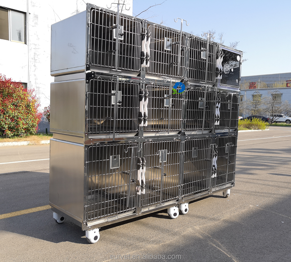 EUR Pet Best Selling Veterinary Cat Anti-Scratch Cage Veterinary Clinic Cage Practical Veterinary Equipment