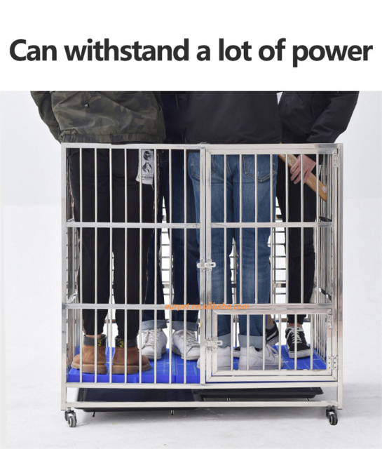 EURPET High Quality Professional  Stainless Steel Cages for Veterinary Pet Hospital Clinic Cage Sets Equipment