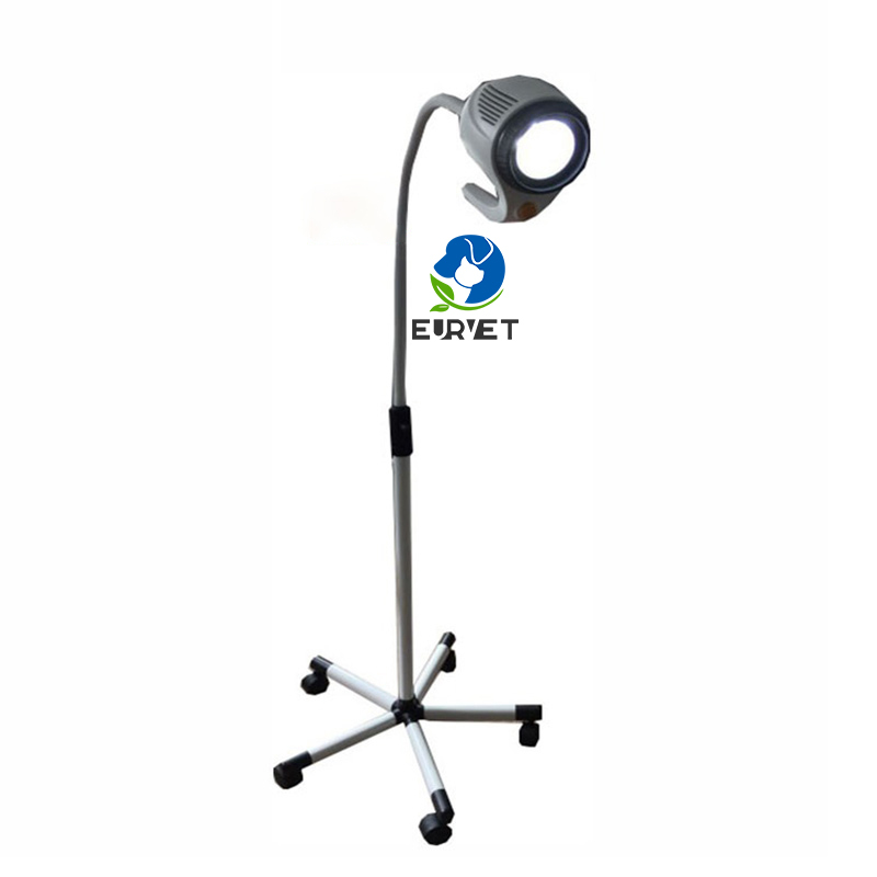 EUR PET Best Quality Portable Vet LED Examination Lamp Veterinary Medical Device