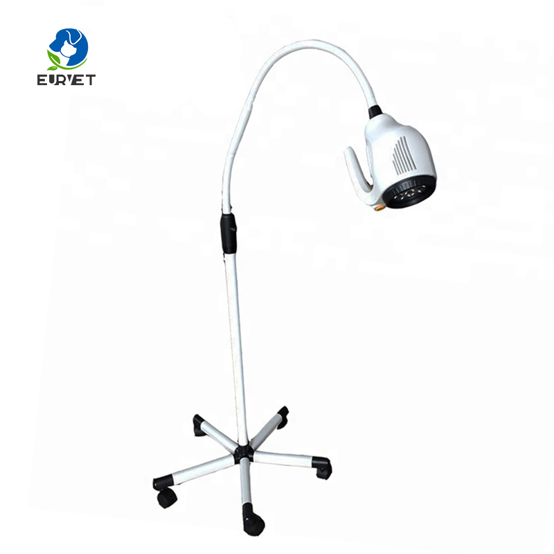 EUR PET Best Quality Portable Vet LED Examination Lamp Veterinary Medical Device