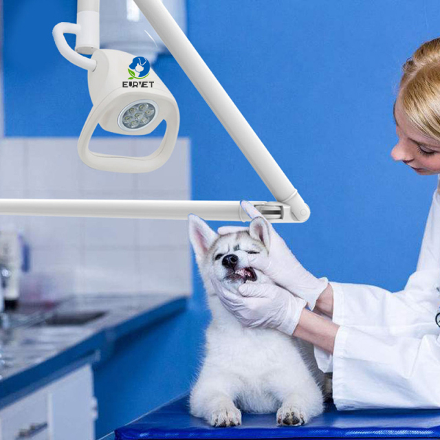 EUR PET High Quality Animal Led Light Veterinary Equipment Favorable Clinic Ceiling Led Exam Light