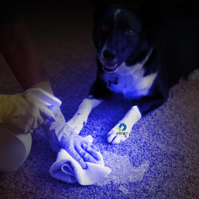 EURPET Cheap  Minor Veterinary Dental Used Portable Professional Flashlights Mini Woodlamp for Sale