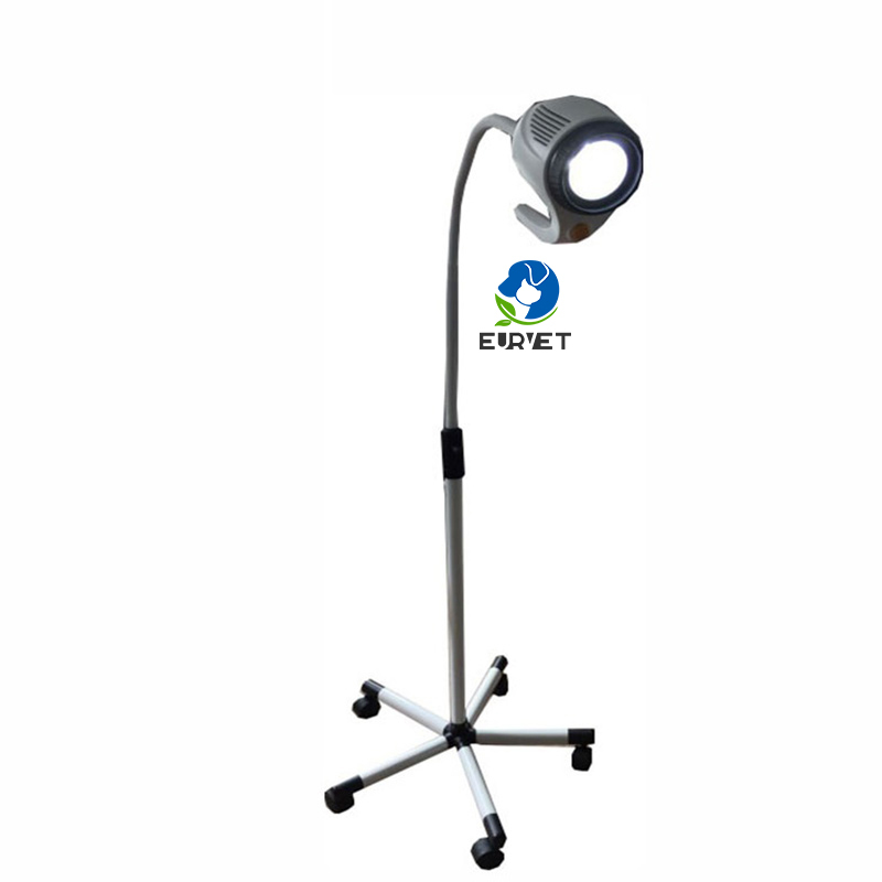 EUR PET Best Quality Portable Vet LED Examination Lamp Veterinary Medical Device