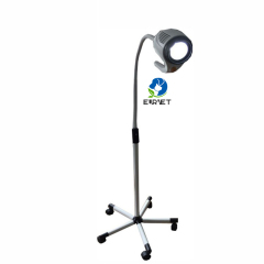 EUR PET Best Quality Portable Vet LED Examination Lamp Veterinary Medical Device