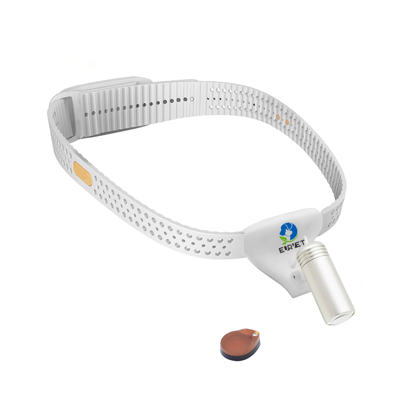 EUR PET Best Quality VET 3W Wireless Headlight with Light-weight Medical Device Mobile Operating System