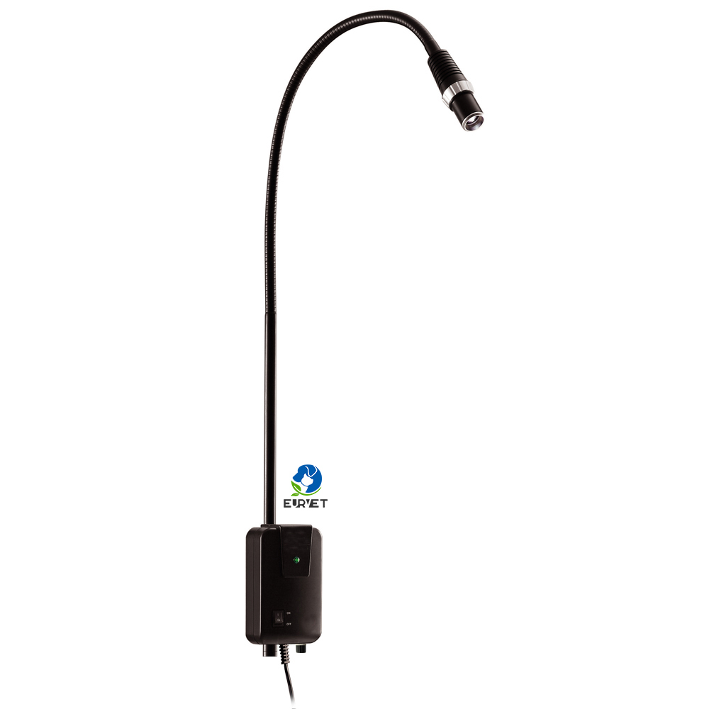 EUR PET Good Quality Multiple Functional Long Life Span 5w Medical Examination Light With High Brightness