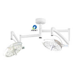 EUR PET Best Quality Animal Ceiling  Light Medical Device Led Lamp for Hospital Therapy Anime Led Light