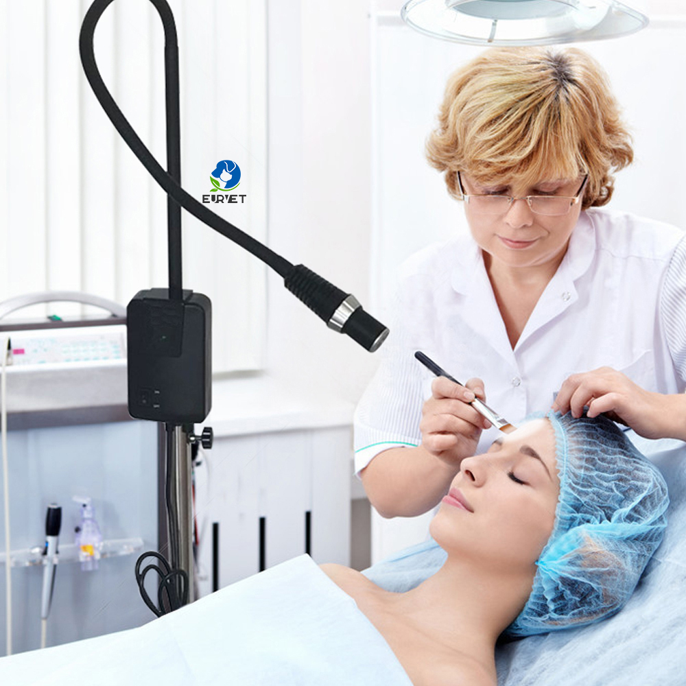 EUR PET Good Quality Multiple Functional Long Life Span 5w Medical Examination Light With High Brightness