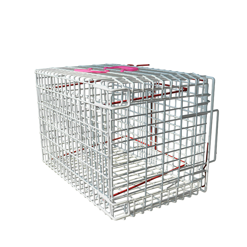 Eur Pet Professional High Quality Veterinary Instrument Vet Syringe Cage Cat Injection Cage for Pets